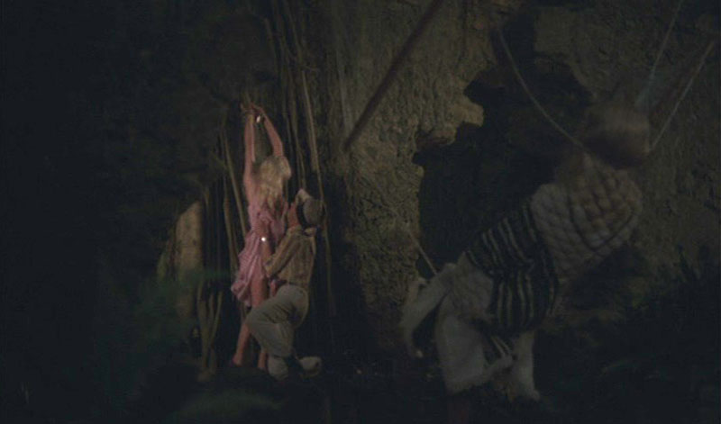 Spermatozoidlar oqayotgan mushuklar