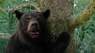 «Кокаиновый медведь»: комедия, в которой лучшая шутка — ее название
