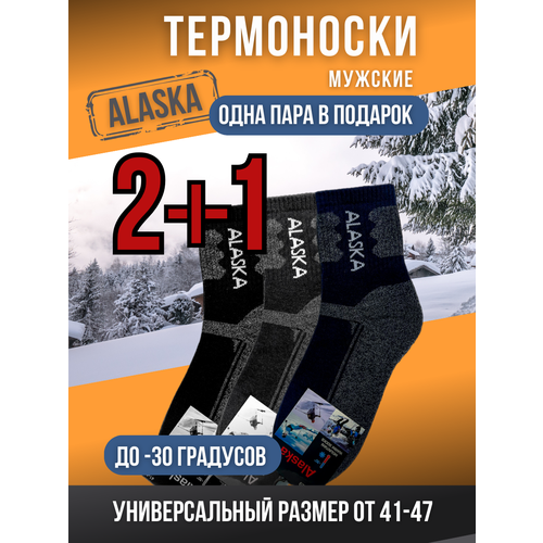 фото Термоноски alaska, 3 пары, размер 41/47, мультиколор