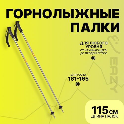 фото Лыжные горнолыжные палки eazyrent 115 см / рост 161-165 eazy rent