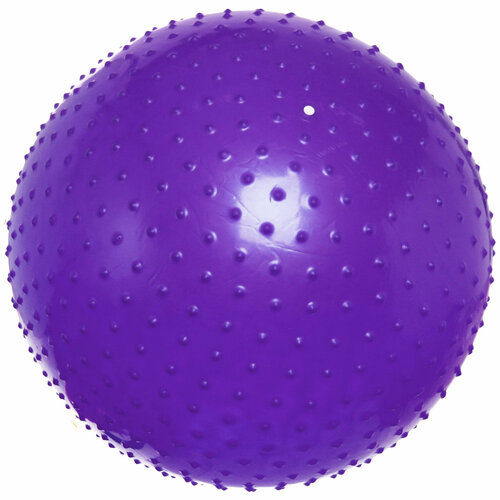 фото Фитбол, мяч для фитнеса sportage 55 см массажный 600гр, фиолетоый