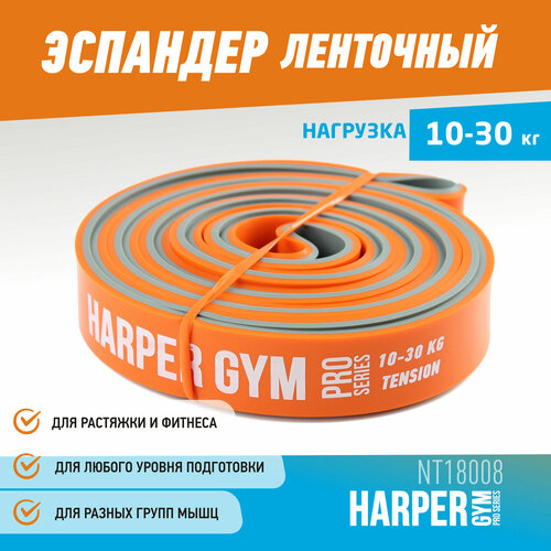 фото Эспандер для фитнеса замкнутый harper gym pro series nt18008 208х2,2х0,45 см (нагрузка 10-30 кг)