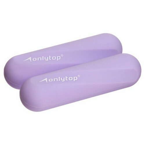 фото Гантели onlytop для универсального отягощения, 2 шт, 0,5 кг, цвет фиолетовый