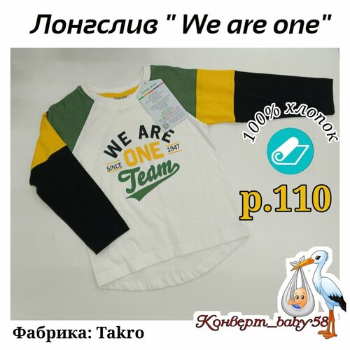 фото Лонгслив , размер 110, мультиколор конверт бэби58