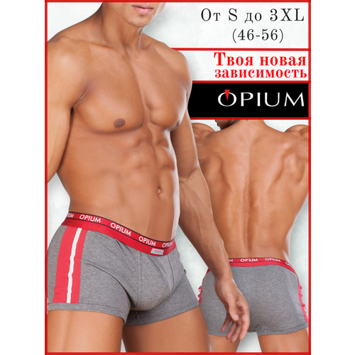 фото Трусы opium, размер xxxl, серый