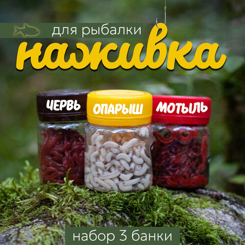 фото Приманка для рыбы - искусственный опарыш, червь, мотыль. набор для рыбалки альбу.мир