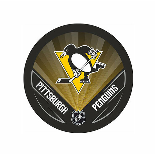 фото Шайба rubena nhl 2022 pittsburgh penguins