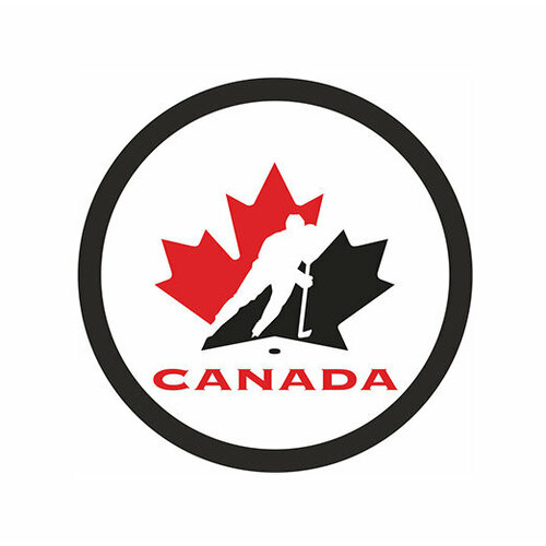 фото Шайба rubena федерация хоккея канады