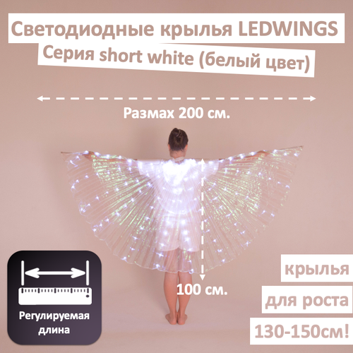 фото Светодиодные крылья ledwings для танца white