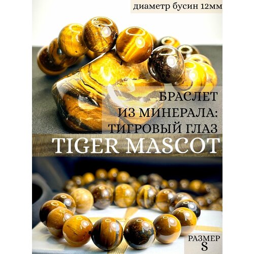 фото Браслет tiger mascot, тигровый глаз, 5 шт., размер 16 см., размер s, золотой, горчичный grani jeweller