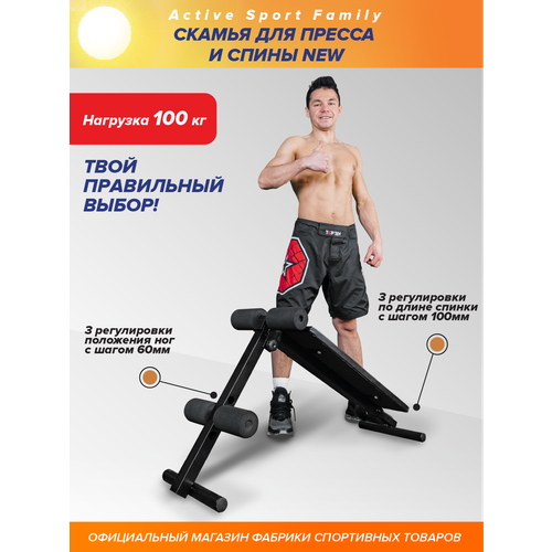 фото Скамья для пресса и спины new absolute champion