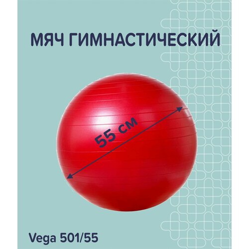 фото Мяч гимнастический (фитбол) с системой антивзрыв, насос в комплекте vega