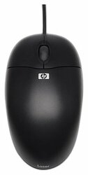 Мышь HP QY777AA Optical Scroll Mouse Black USB