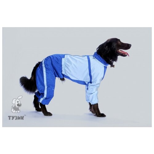 фото Комбинезон "тузик" тёплый, для собак породы шарпей (мальчик)