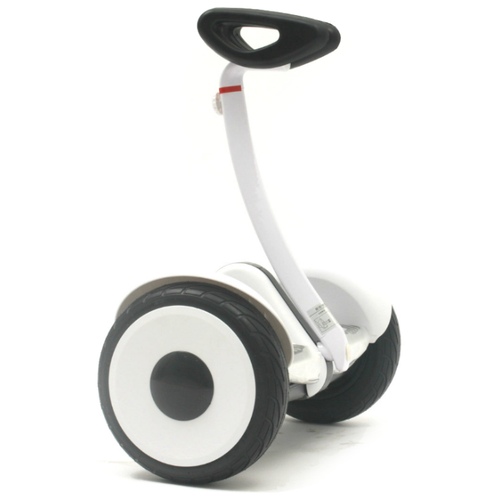 фото Сегвей zaxboard strimer 36