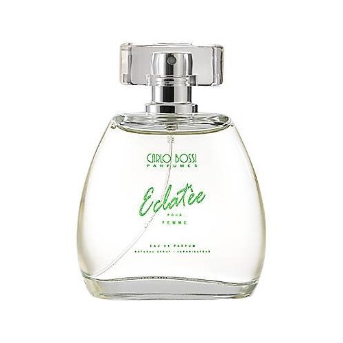 Фото - Парфюмерная вода Carlo Bossi Parfumes Eclatee Green, 100 мл парфюмерная вода carlo bossi parfumes summer kiss 100 мл