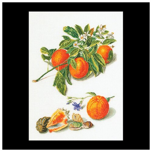 фото Набор для вышивания thea gouverneur "апельсины и мандарины", 33x45 см, арт. 3061а