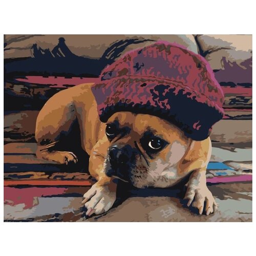 фото Картина по номерам "собака в шапке", 30x40 см живопись по номерам