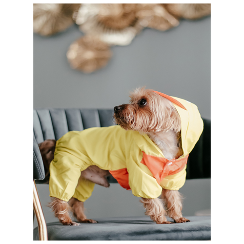 фото Ветровка для собак, "не один дома" утиные истории, желтый, s