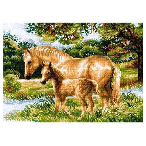 фото Риолис набор для вышивания лошадь с жеребёнком 40 х 30 см (1258)