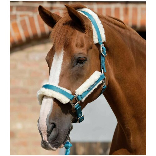 фото Уздечка для лошади голубая с мехом premier equine нет бренда