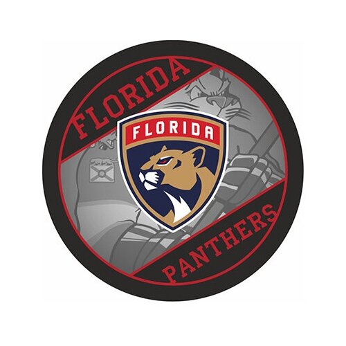 фото Шайба rubena florida panthers nhl