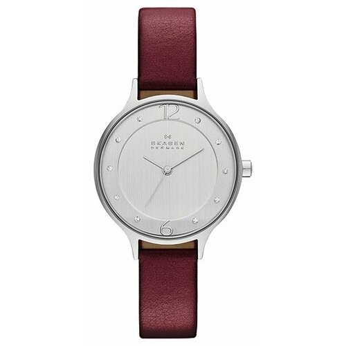 фото Наручные часы skagen skw2275