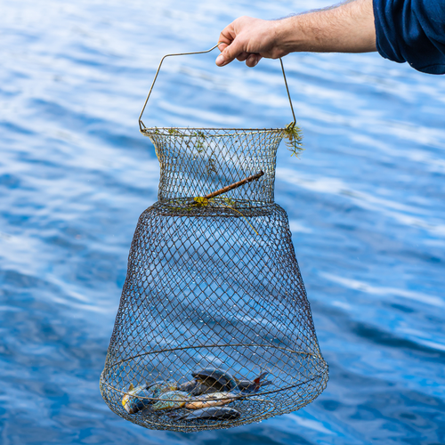 фото Садок рыболовный для хранения рыбы / садок рыболовный металлический складной длина 60 см poli-shop
