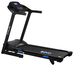 Какие Беговые дорожки лучше Evo Fitness или ATEMI