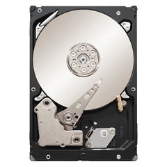 Seagate ST32000641AS