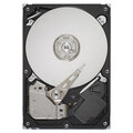 Seagate ST3250318AS