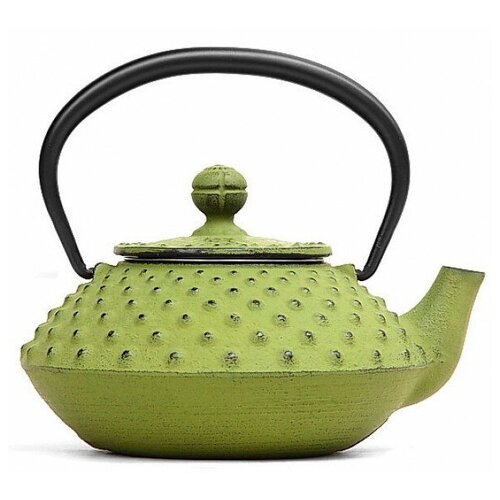 фото Чугунный чайник iwachu для чайной церемонии 0,35л зеленый