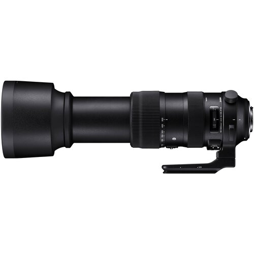 Объектив Sigma AF 60-600mm f/4.5-6.3 DG OS HSM Sports Nikon F клавиша смыва geberit sigma 30 115 893 ky 1