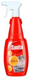 Чистящее средство 1 минута Sanita