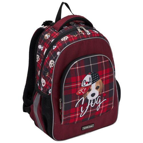 фото Ученический рюкзак erichkrause ergoline 15l cute dog