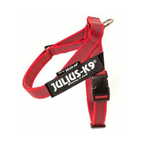 фото Julius-k9 шлейка для собак ремни color & gray idc® mini (49-65см / 7-15кг), красный