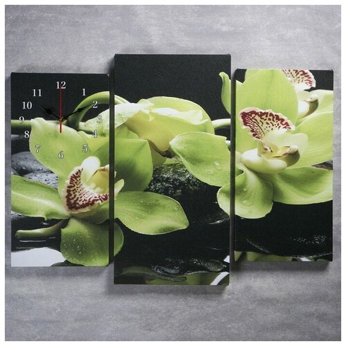 фото Часы настенные модульные "зелёные орхидеи на камнях", 60 x 80 см сюжет