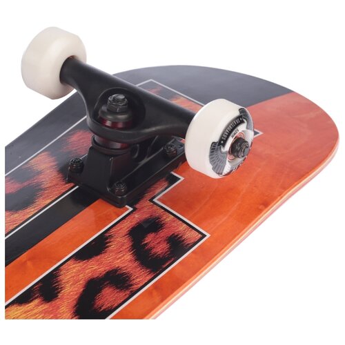 фото Скейтборд fish коричневый fish skateboards