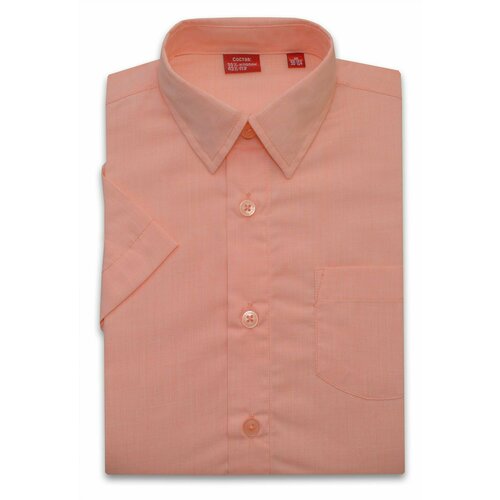 фото Рубашка imperator, прямой силуэт, на пуговицах, короткий рукав, размер 104-110, розовый