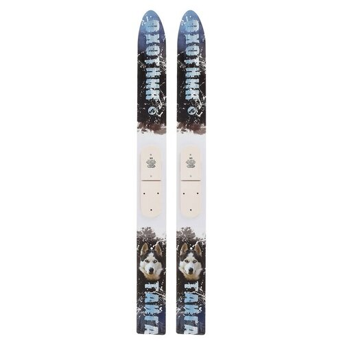 фото Лыжи охотничьи дерево-пластиковые «тайга» 165 см, цвета микс маяк