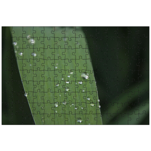 фото Магнитный пазл 27x18см."капля воды, травинки, лезвие" на холодильник lotsprints