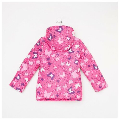 фото Куртка для девочки, цвет малиновый/бабочки, рост 104-110 см нет бренда
