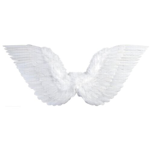 фото Белые крылья ангела (71х45 см) widmann