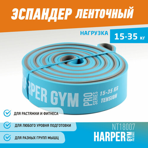 фото Эспандер для фитнеса замкнутый harper gym pro series nt18007 208х3,2х0,45 см (нагрузка 15-35 кг)