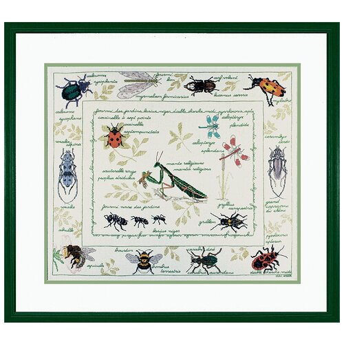 фото Набор для вышивания: les insectes (насекомые) le bonheur des dames 54*46, 1192