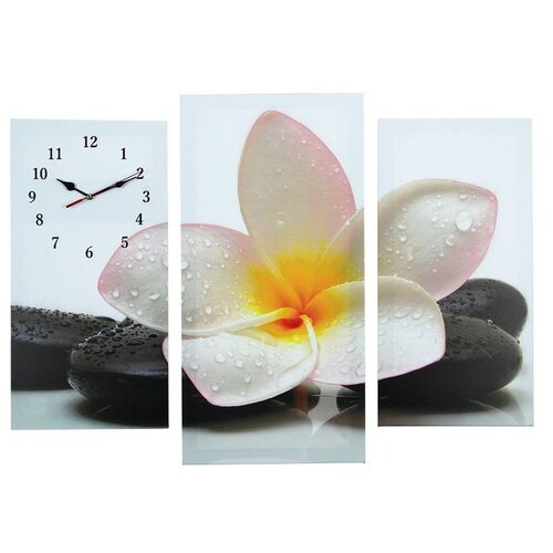 фото Часы настенные модульные "цветок на камнях", 60 x 80 см сюжет