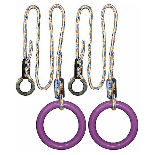 фото Кольца гимнастические круглые 01 в (фиолетовый) формула здоровья