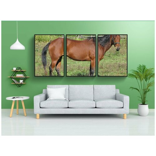 фото Набор модулных постеров для интерьера "домашняя лошадь, equus ferus caballus, американская четверть лошадь" 60x90 см. в тубусе, без рамки lotsprints