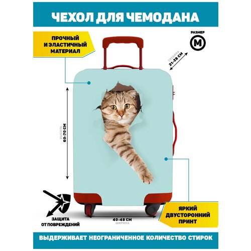 фото Чехол для чемодана homepick cat_m/32337/ размер м(60-70 см)