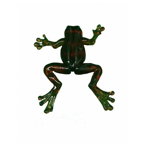 фото Лягушка frog 30f (30мм 3,1g) col.03 motor oil (машинное масло) sansan